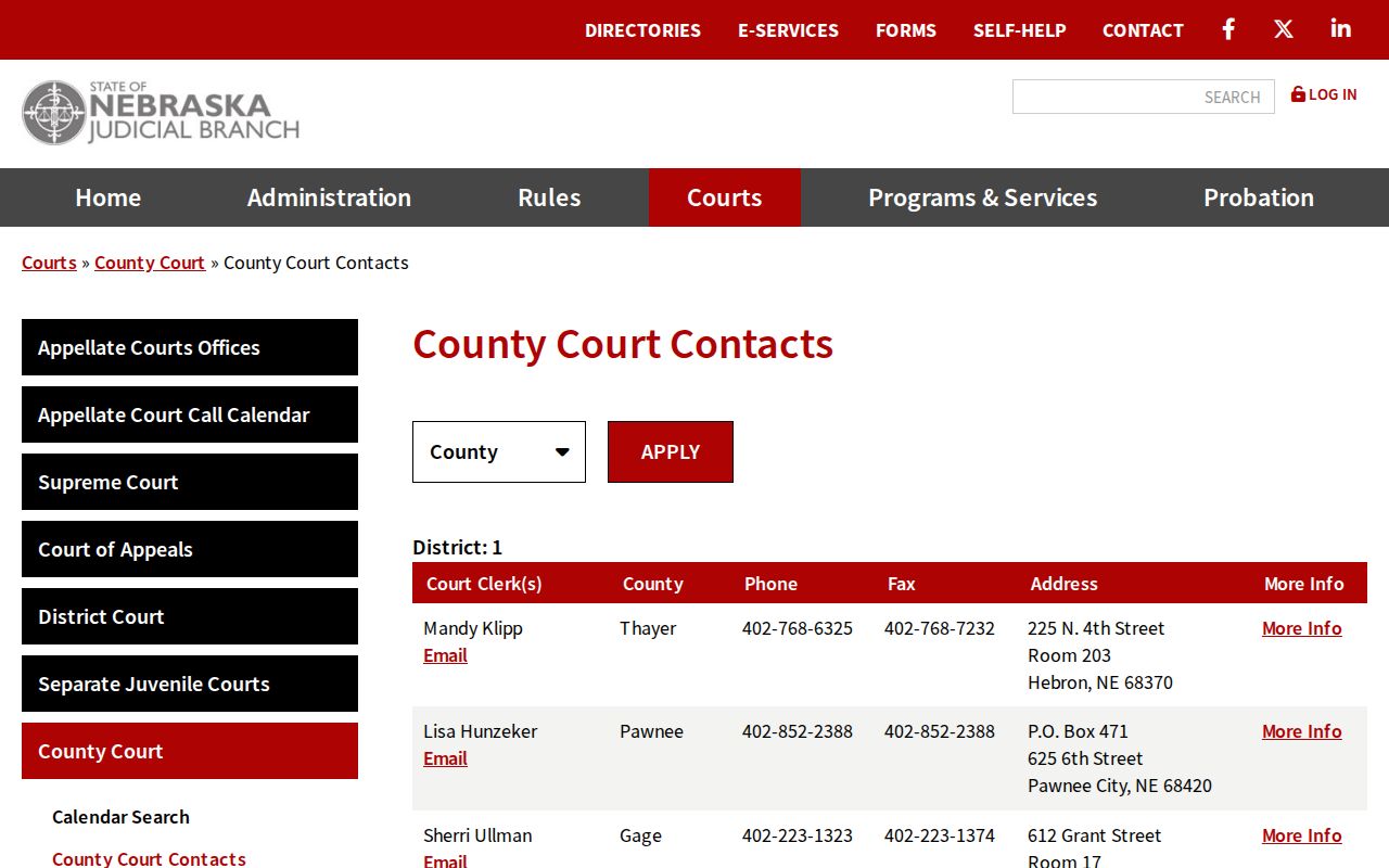 Phelps criminal docket County Court clerk contact